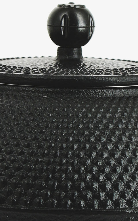 Théière fonte 0,90 cl