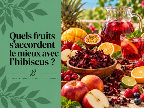 Carcadet rouge à l’hibiscus entouré de framboises, mangue, orange, pomme et fruits exotiques illustrant les meilleurs accords fruités