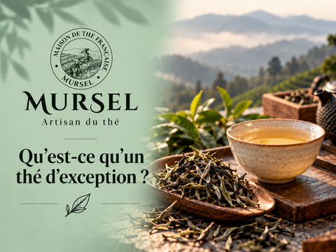 Thé d’exception en feuilles et tasse de dégustation – MURSEL Artisan du thé