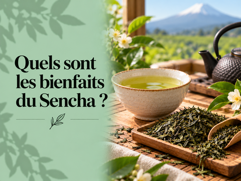 Thé Sencha japonais en feuilles avec tasse de thé vert illustrant ses bienfaits et ses catéchines