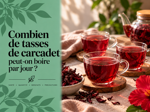 Plusieurs tasses de carcadet rouge à l’hibiscus illustrant la quantité de carcadet que l’on peut boire dans la journée