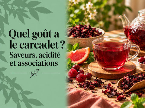 Tasse de carcadet rouge à l’hibiscus avec fruits rouges, agrumes et fleurs illustrant son goût fruité, acidulé et rafraîchissant