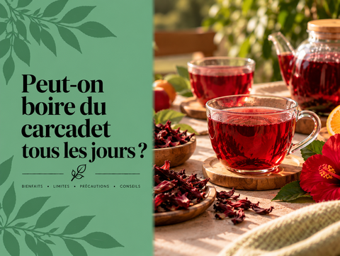 Tasse de carcadet rouge à l’hibiscus dégustée au quotidien avec fleurs d’hibiscus et fruits séchés
