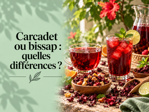 Carcadet et bissap comparés avec deux boissons rouges à l’hibiscus – MURSEL Artisan du thé