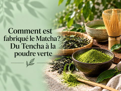 Fabrication du Matcha avec Tencha, poudre verte et fouet japonais – MURSEL Artisan du thé