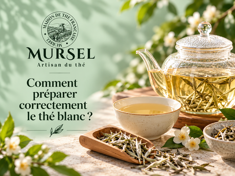 Préparation du thé blanc avec feuilles en vrac et tasse claire – MURSEL Artisan du thé
