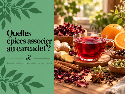 Tasse de carcadet rouge entourée de cannelle, gingembre, cardamome, badiane et orange illustrant les épices à associer à l’hibiscus.