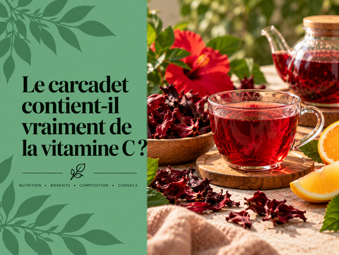 Tasse de carcadet rouge à l’hibiscus avec calices séchés et agrumes illustrant la présence de vitamine C dans Hibiscus sabdariffa