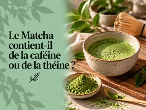 Matcha japonais en poudre et tasse de Matcha illustrant sa teneur en caféine et en théine