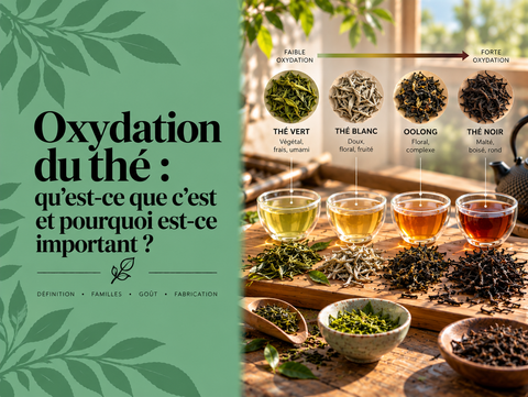 Feuilles de thé vert, Oolong et thé noir montrant les différents niveaux d’oxydation du thé et leur influence sur la couleur et le goût