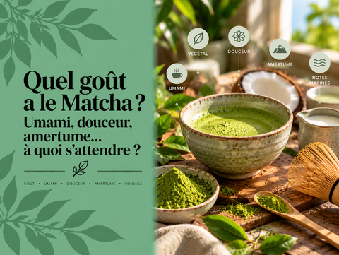 Bol de Matcha japonais avec poudre verte et chasen illustrant le goût du Matcha, entre umami, douceur, notes végétales et amertume