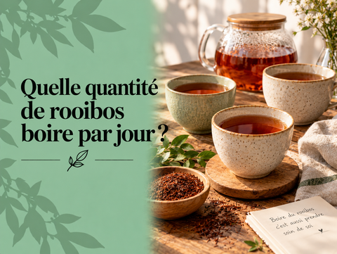 Plusieurs tasses de rooibos illustrant la quantité de rooibos que l’on peut boire au cours d’une journée
