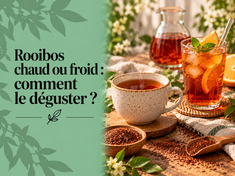 Deux préparations de rooibos, l’une chaude en tasse et l’autre froide avec glaçons, illustrant les différentes façons de le déguster