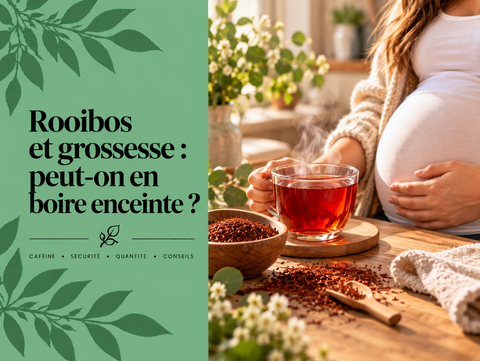 Tasse de Rooibos rouge pendant la grossesse avec feuilles de Rooibos, illustrant les précautions et l’absence naturelle de caféine.
