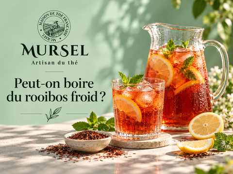 Rooibos froid glacé avec citron, menthe et glaçons – MURSEL Artisan du thé
