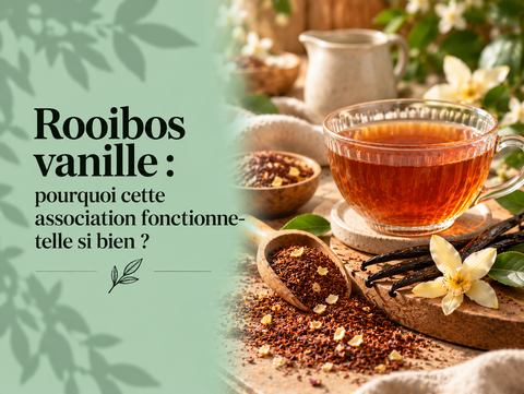 Rooibos vanille avec tasse d’infusion, rooibos en vrac et gousses de vanille