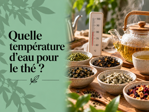 Thermomètre et théière illustrant les températures d’eau adaptées au thé vert, noir, blanc et Oolong