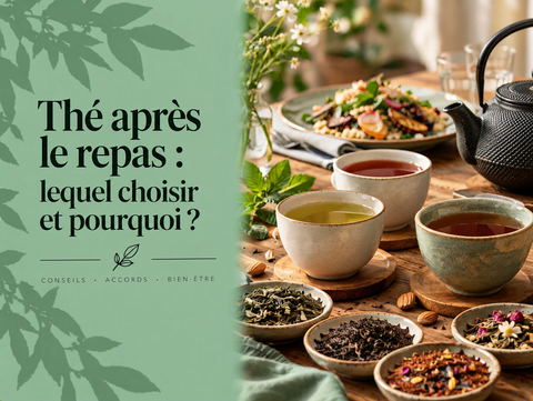 Tasse de thé servie après un repas avec théière et vaisselle illustrant les différents thés à choisir en fin de repas