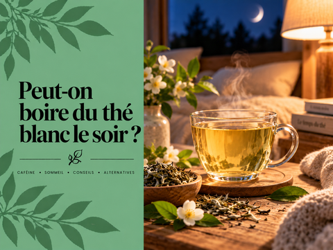 Tasse de thé blanc servie en soirée avec feuilles de thé, illustrant la caféine et la question du thé blanc avant le coucher.
