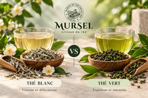 Thé blanc et thé vert comparés avec feuilles et tasses – MURSEL Artisan du thé