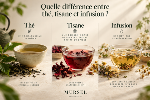 Thé, tisane et infusion présentés côte à côte avec leurs différences