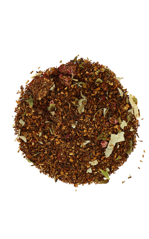 Rooibos : naturels, fruités et BIO