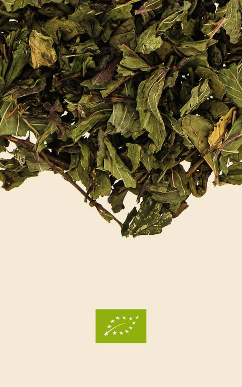 N°10 - Thé vert BIO – Une nuit à Marrakech – Saveur menthe poivrée - Dosettes de vrac pré-dosé
