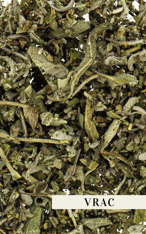 N°41 - Tisane BIO – Règles douloureuses - Sauge - Vrac