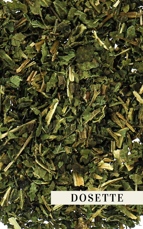 N°46 - Tisane BIO – Feuilles d'ortie - Dosettes de vrac pré-dosé