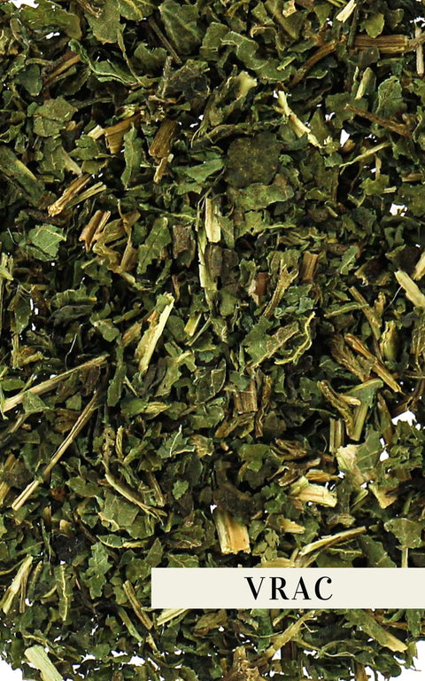 N°46 - Tisane BIO – Feuilles d'ortie - Vrac