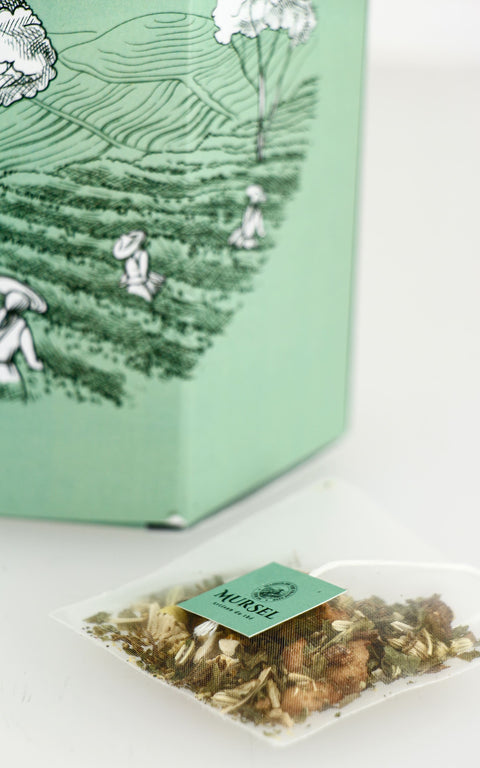 Infusette de thé MURSEL devant un coffret découverte vert céladon